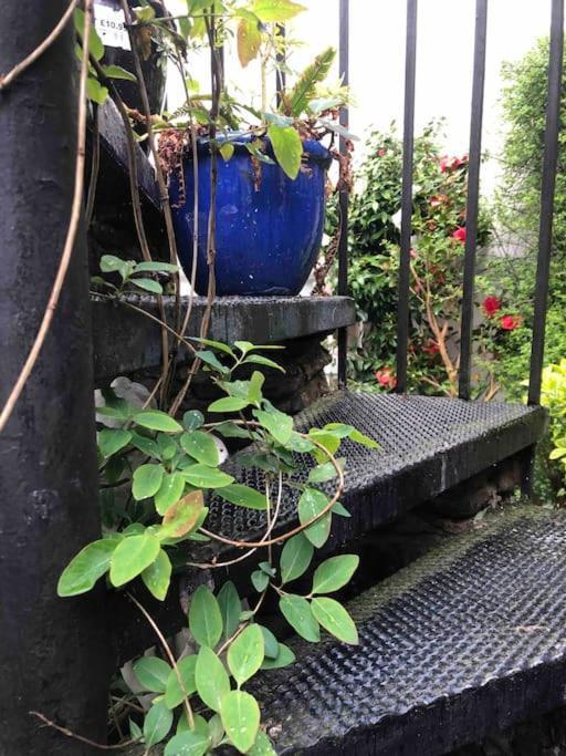 Apartament Beautiful 2 Bedroom Garden Flat In Great Location