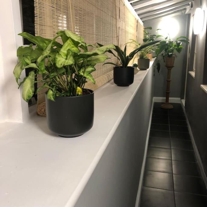 Apartament Beautiful 2 Bedroom Garden Flat In Great Location Bristol