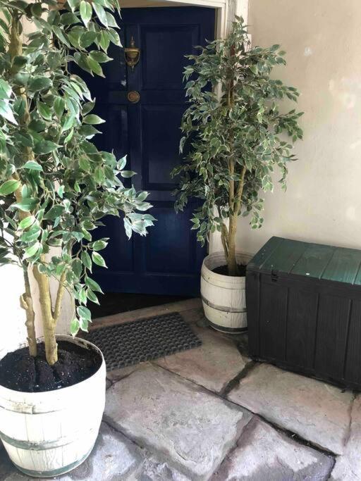 Apartament Beautiful 2 Bedroom Garden Flat In Great Location