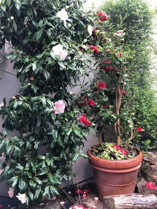 Beautiful 2 Bedroom Garden Flat In Great Location Bristol